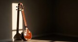 Veena instrument in sunlit room corner
