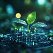 © Murtaza - green plant in the rain