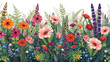 © Vinu_Studio - Vibrant wildflower garden border illustration with layered depth. Features bold orange, pink, and red gerberas, cosmos, and dahlias mixed with blue forget-me-nots and white daisies on green foliage.