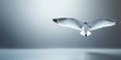 © Konstiantyn Zapylaie - Graceful seagull flying in minimalist sky with outstretched wings