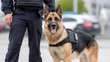 © Innese - German shepherd dog stands proudly beside a police officer in tactical uniform, showcasing teamwork and dedication in law enforcement, highlighting the bond between canine and handler