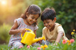 © Vadym - Indian children water flowers in garden. Girl and boy enjoy gardening activity together with yellow watering can. They are laughing and smiling with flowers in summer outdoors.