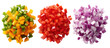 © Hasina - Three piles of chopped vegetables including bell peppers tomatoes and onions isolated on transparent background