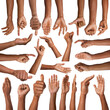 © New Africa - Set of hand gestures on white background. African american man showing arm, closeup
