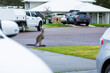 © Austockphoto - young kangaroo on street by front lawn of suburban Australian home on overcast rainy day