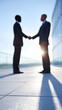 © praewpailyn - Two professionals engage in handshake symbolizing teamwork and collaboration in corporate meeting setting. silhouettes are framed against bright background, emphasizing unity and partnership