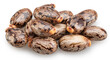 © volff - Bean-shaped, mottled, glossy castor oil seeds on white background. File contains clipping paths.