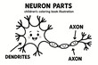 © Viacheslav - Neuron Coloring Fun. Neuron parts children?s coloring book illustration, outlined drawing, labeled diagram showing soma, dendrites, and axon with smiling faces