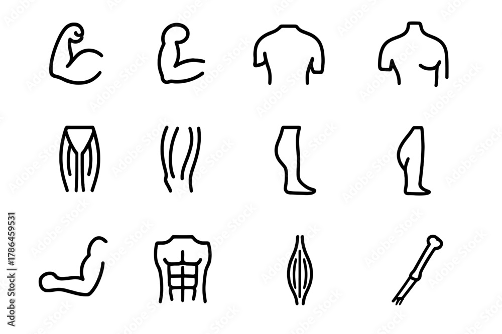 Muscle System Icon Skeletal Muscle Icons. Skeletal muscles. Line icon set of skeletal ...