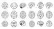 © Dieke - Collection of stylized line art illustrations depicting the human brain from various anatomical angles and perspectives in a clean, modern vector style.