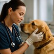 © Shemcko - Compassionate vet caring for dog in clean clinic interior