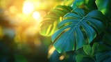 Lush tropical leaves bathed in golden sunlight