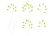 © Andrei - Stylized green plant sprigs and outlines on a clean white background