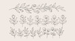 © Miftakhul - Collection of delicate hand-drawn botanical elements, featuring minimalist line art flowers and leafy branches perfect for elegant design accents