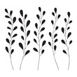 © MD. SHABUZ RAYHAN - Five black stylized branches with oval leaves on white background plant leaf