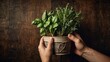 © FutureBrains Studio - Plants herbs live growing in pots in hands captured in a natural setting showcasing organic lifestyle, greenery inspiration, and sustainable living with authentic composition and serene atmosphere