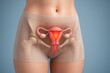 © Maryia - 3D medical illustration showing female pelvis with transparent skin highlighting inflamed uterus affected by endometritis, realistic anatomy visualization for medical and clinical education purposes
