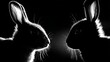 © Harry - Two hares face each other in dramatic, high contrast silhouette, revealing delicate fur detail and intense, watchful eyes against a deep black background.