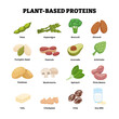 © Yumagema - Different types of plant based high protein food set collection. Peas,asparagus,broccoli,almond,pumpkin,seed,peanuts,avocado,artichoke, potatoes, mushroom, spinach,pinto, tofu, chickpeas,chia,soy milk