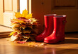 © ziehefzie - Autumn leaves and rain boots at doorway