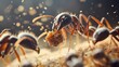 © Agen stock - Ants eating food on a surface with blurry lights in background for insect education