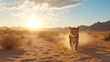 © Panupan - Cheetah desert running fast wild sunrise dust landscape nature speed animal predator mammal
