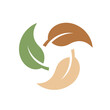 © Toni - Eco-friendly recycling symbol with three leaves in green, brown, and tan colors, representing sustainability and environmental care
