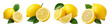 © STOCK AI - Zesty citrus and vibrant leaves: fresh lemon arrangement for healthy cuisine and refreshing beverage design, PNG set with transparent background
