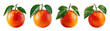 © STOCK AI - Vibrant ripe tangerine citrus fruit with green leaf, fresh healthy produce isolated on black, PNG set with transparent background