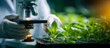 © Taras Vykhopen - Biotechnology researcher studies plant growth with microscope in eco-friendly laboratory