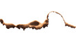 © LWN Studio - Burnt paper edge with dark scorch marks and curved burned shape