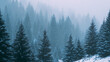 © Ahmad - Christmas quiet snowy forest with foggy trees