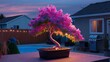 © terat - Pink Bonsai Tree Backyard Twilight Garden Art Design