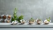 © Food and drink - Oysters on the Half Shell, fresh oysters served raw with a selection of zesty sauces.