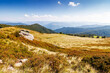 © Pellinni - landscape with grassy meadow of krasna ridge on a sunny day. carpathian mountain scenery of ukraine in summer. transcarpathia travel background. beauty in nature of green alpine environment
