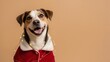 © OlgaNeuroArt - Happy dog in a festive Christmas Santa Claus costume. Adorable pet portrait with fairy lights on a brown background with copy space