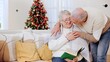 © Марина - An elderly couple enjoys a tender moment while reading together by a decorated Christmas tree, husband covers his wife with a blanket