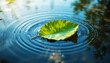 © Mahamud - Green leaf floating on water creating ripples in sunlight