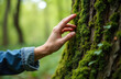 © miss irine - Woman hand gently touches thick green moss covering tree bark in a sunlit forest. Person experiences forest ecology and natural texture during outdoor exploration.