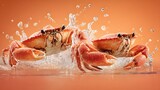 Two cooked crustaceans emerge dramatically from splashing water against a warm backdrop