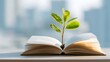 © Jojo* - Young green plant sprouts directly from the pages of an open book placed on a surface with a bright, blurred background.