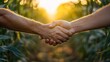 © MBRAMO - Farmers handshake in cornfield at sunset.  Possible use Stock photo for agricultural partnerships, teamwork, or rural lifestyle