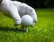 © CHOISH - 흰색 골프 장갑이 티 위에 골프공을 올려놓는 클로즈업 장면 Close-up of a golfer placing a golf ball on a tee with a white glove