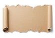 © Giuseppe Cammino - Torn brown cardboard isolated on pure white background