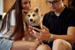 © standret - Guy is holding smartphone. Man and woman are sitting at home with Shibu Inu dog