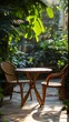 © Md Nurul - Tranquil outdoor dining area with rustic wooden table and chairs bathed in dappled sunlight under lush green foliage