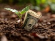 © shooreeq - A single, healthy seedling growing out of a crisp one hundred dollar bill that is tucked into fertile soil