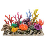 Colourful coral reef on white background.png