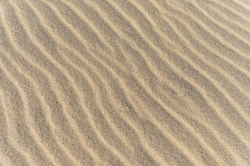  Casas típicas y playa de Aveiro en invierno, Traditional houses and Aveiro beach in winter