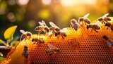 honey bees collecting nectar on honeycomb in a sunlit hive garden